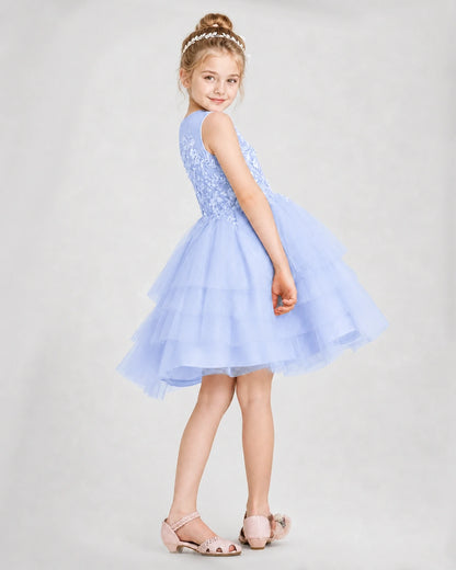 Dideyttawl Embroidered Tiered Tulle Girl Formal Dress