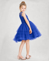 Royal Blue Tulle Tiered Dress Girls Formal Dresses Side View