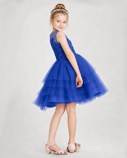 Dideyttawl Embroidered Tiered Tulle Girl Formal Dress