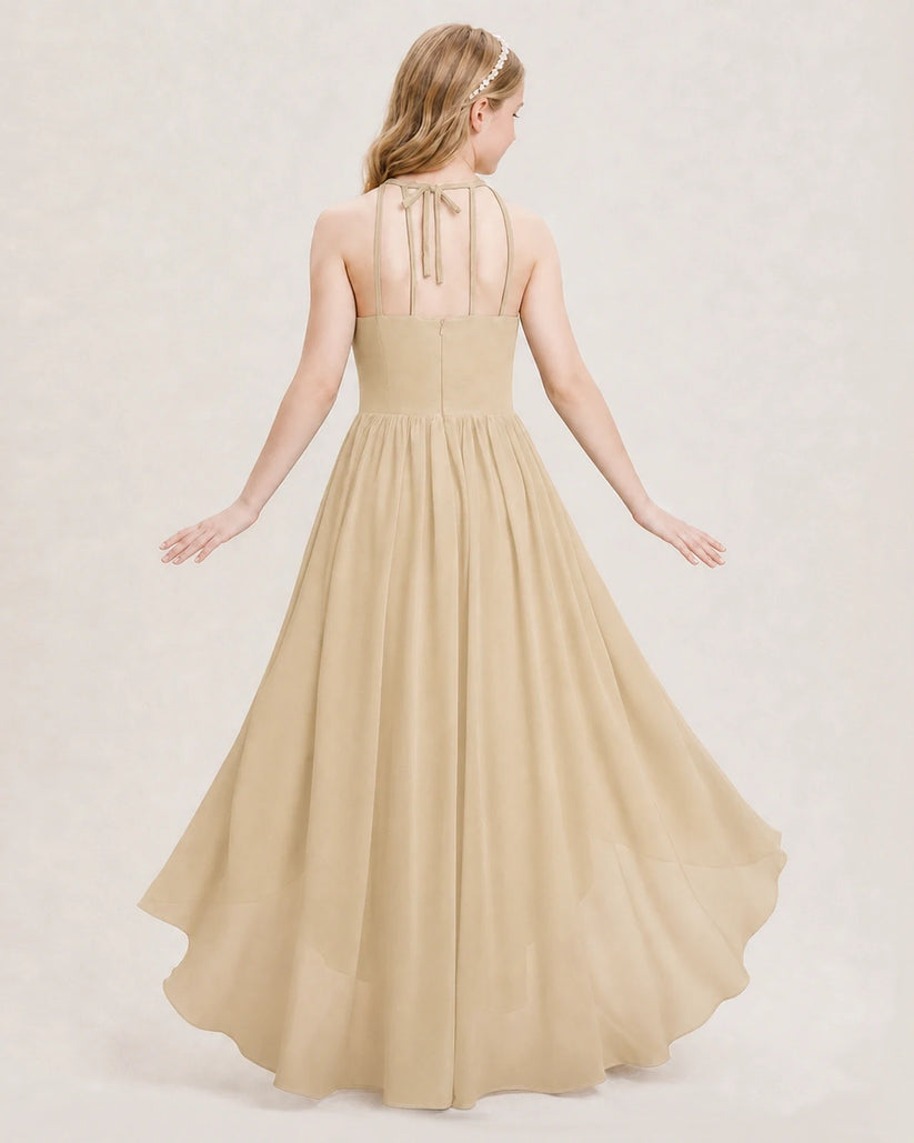 Champagne Chiffon Halter High-Low Junior Bridesmaid Dresses Back View