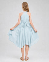 Baby Blue Chiffon Halter Junior Bridesmaid Dresses Back View