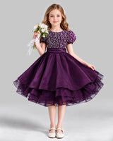 Purple Ball Gown Girls Formal Dress Front