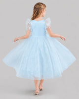 Baby Blue Ball Gown Flower Girl Dresses Back