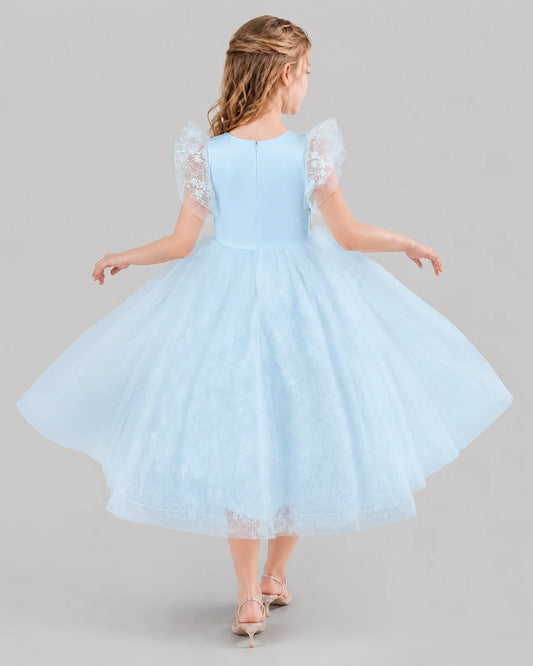 Baby Blue Ball Gown Flower Girl Dresses Back