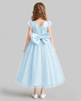 Baby Blue A-line Flower Girl Dresses Back