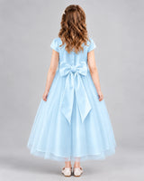 Baby Blue A-line Flower Girl Dresses Back