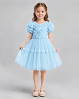 Baby Blue A-line Flower Girl Dresses Front