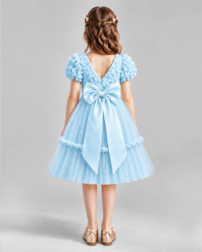 Baby Blue A-line Flower Girl Dresses Back