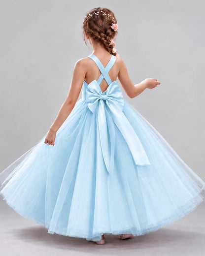 Baby Blue Ball Gown Flower Girl Dresses Back