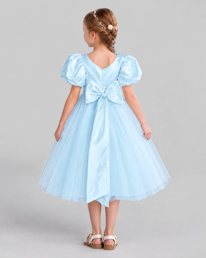 Baby Blue A-line Girls Formal Dresses Back