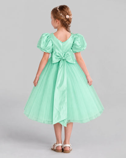 Turquoise A-line Girls Formal Dresses Back