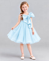 Baby Blue Ball Gown Girls Formal Dresses Front