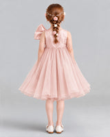 Blush Pink Ball Gown Girls Formal Dresses Back