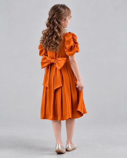 Burnt Orange A-line Girls Formal Dresses Back