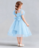 Baby Blue A-line Flower Girl Dresses Back