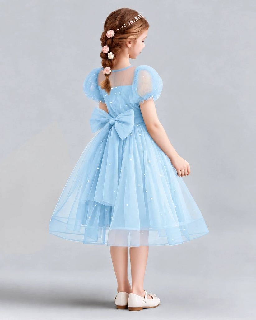 Baby Blue A-line Flower Girl Dresses Back