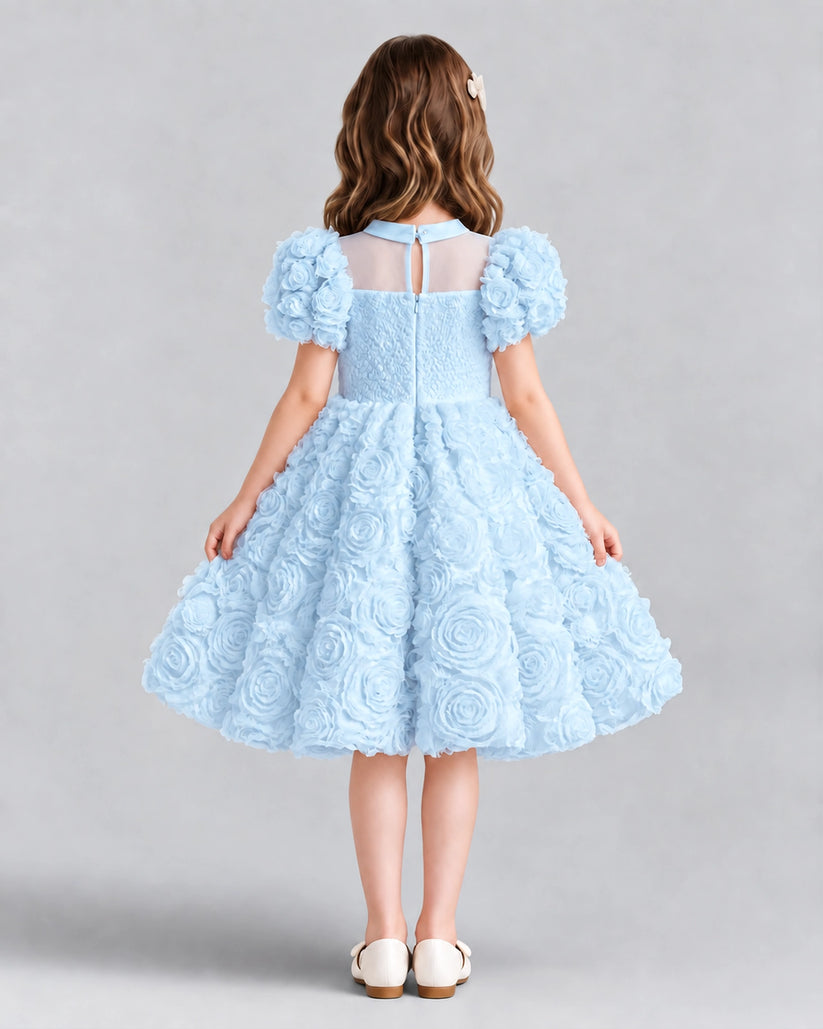 Baby Blue Ball Gown Girls Formal Dresses Back