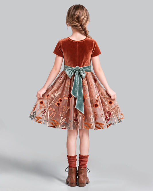 Burnt Orange A-line Girls Formal Dress Back [Shared]
