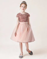 Blush Pink Sequin Tulle A-line Girls Formal Dress Front View