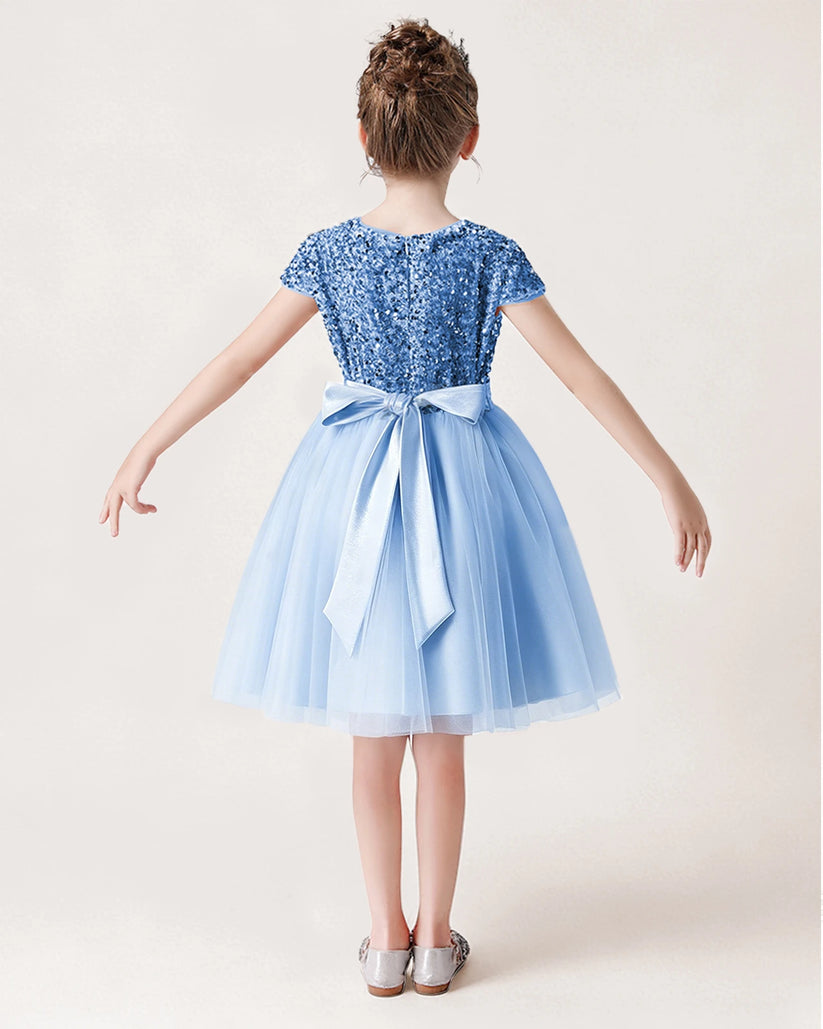 Sky Blue Tulle A-line Girls Formal Dress Back View