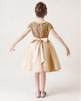 Champagne Sequin Tulle A-line Girls Formal Dress Back View