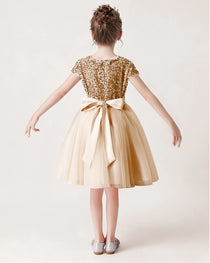 Didettawl Sky Blue Flower Girl Dresses Short Tulle Sequins Special Occasion Dresses