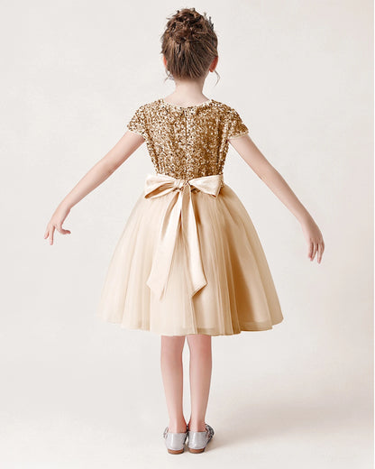 Didettawl Sky Blue Flower Girl Dresses Short Tulle Sequins Special Occasion Dresses