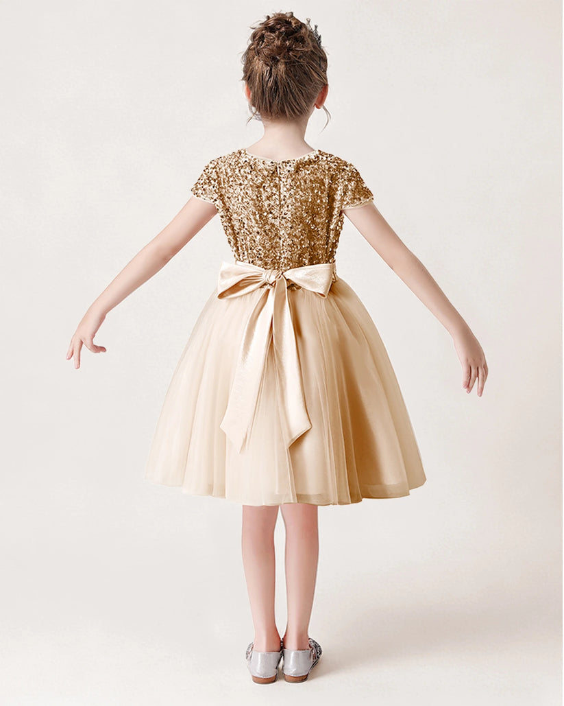 Champagne Sequin Tulle A-line Girls Formal Dress Back View
