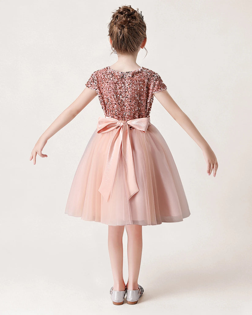  Blush Pink Sequin Tulle A-line Girls Formal Dress Back View