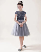Silver Tulle A-line Girls Formal Dress Front View