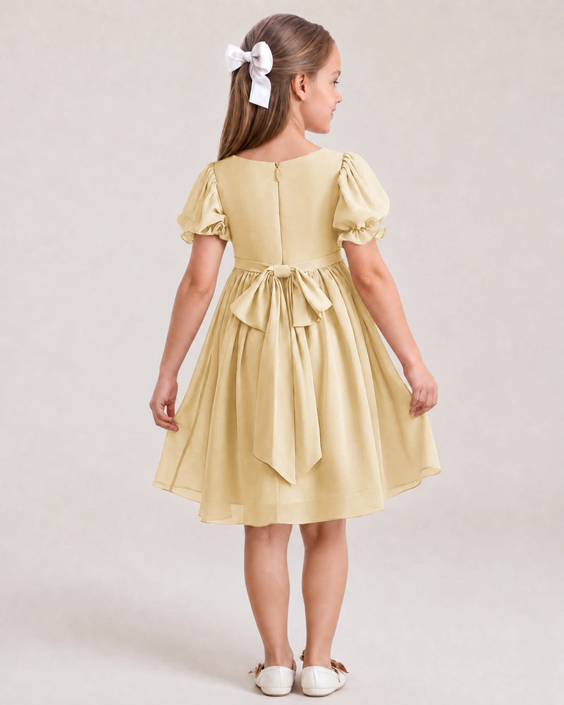 Champagne Chiffon A-line Flower Girl Dress Back View