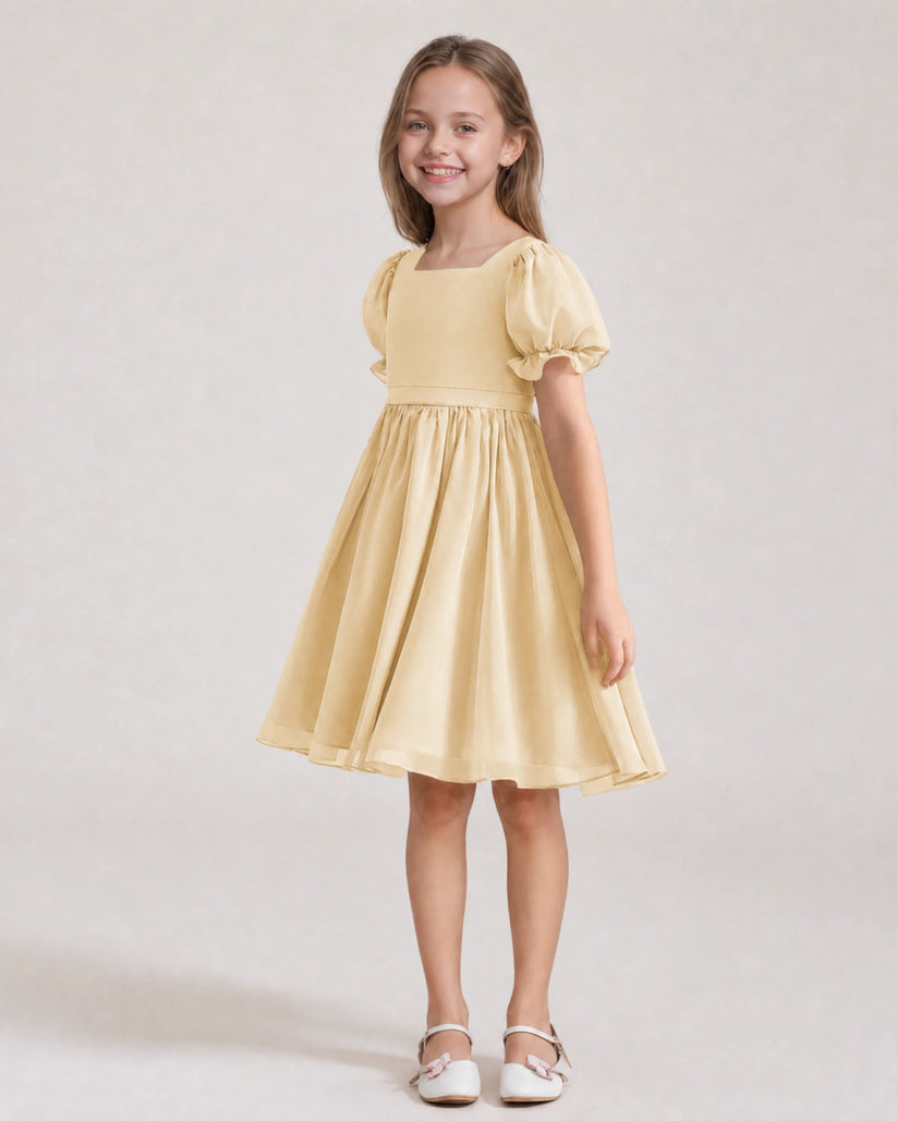 Champagne Chiffon A-line Flower Girl Dress Front View