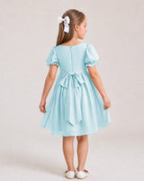 Baby Blue Chiffon A-line Flower Girl Dress Back View