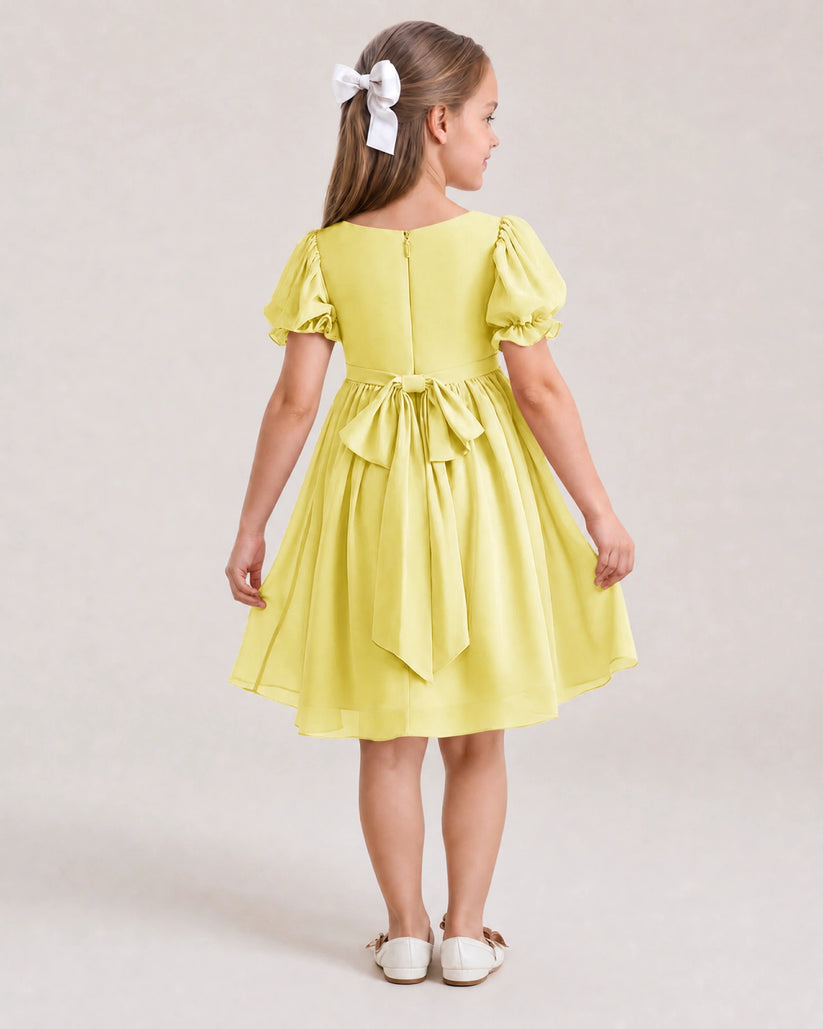 Daffodil Chiffon A-line Flower Girl Dress Back View