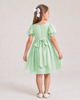 Mint Green Chiffon A-line Flower Girl Dress Back View