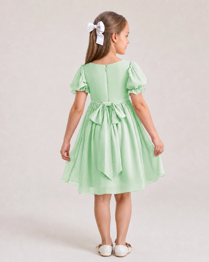 Mint Green Chiffon A-line Flower Girl Dress Back View
