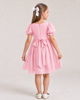 Pink Chiffon A-line Flower Girl Dress Back View