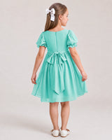 Turquoise Chiffon A-line Flower Girl Dress Back View