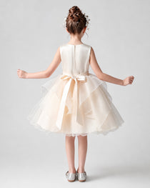 Dideyttawl Flower Girl Dress with Sleeveless Satin Bodice and Tiered Dress