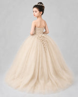 Champagne Tulle Ball Gown Pageant Dress Back View