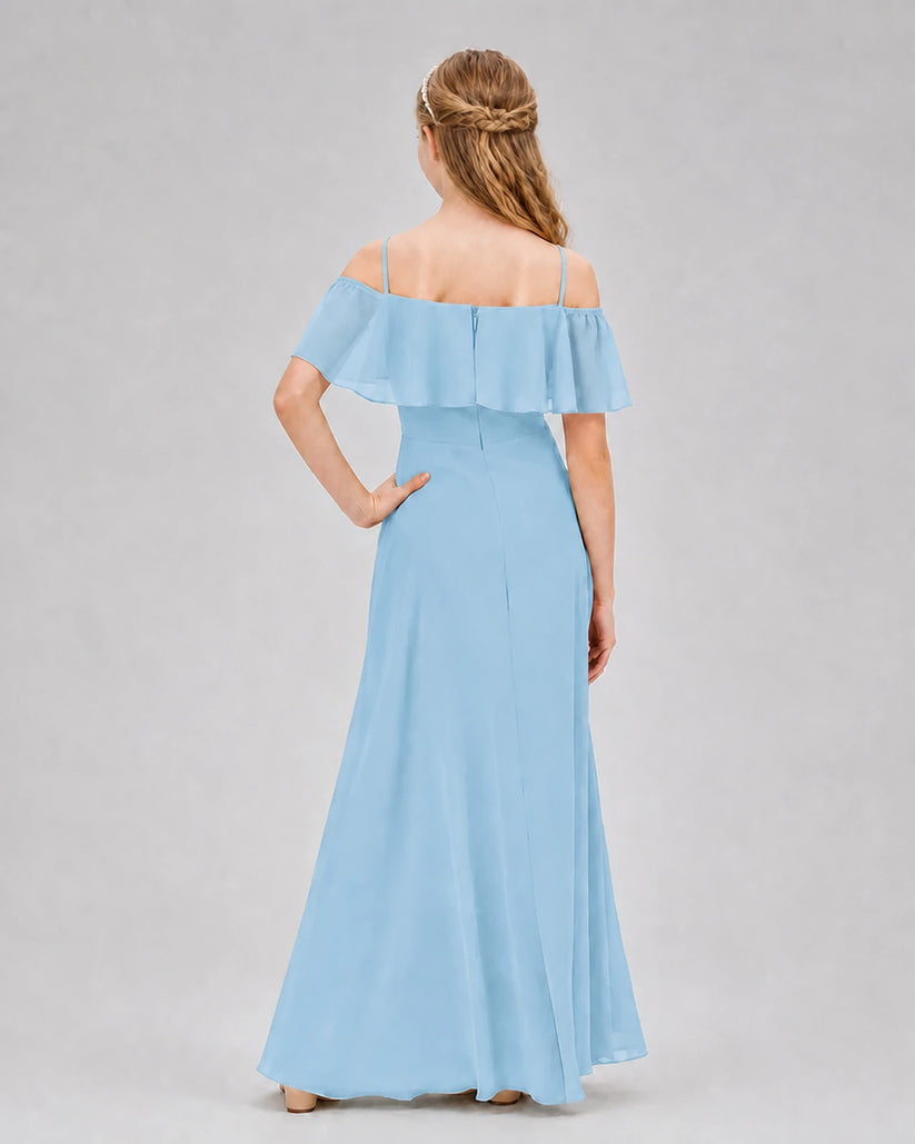 Sky Blue Chiffon Off-The-Shoulder Junior Bridesmaid Dresses Back View