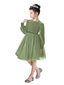 Dideyttawl Spring Girls Short Velvet Girls Formal Dress Elegant Formal Dress Lantern Long Sleeves Girls Birthday Party Dress