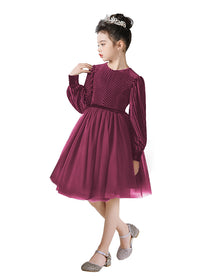 Dideyttawl Spring Girls Short Velvet Girls Formal Dress Elegant Formal Dress Lantern Long Sleeves Girls Birthday Party Dress